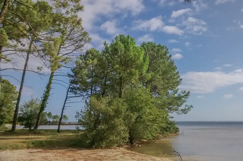 sejour en bord de lac au camping
